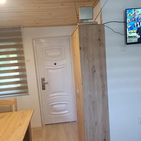 Andela 5 *