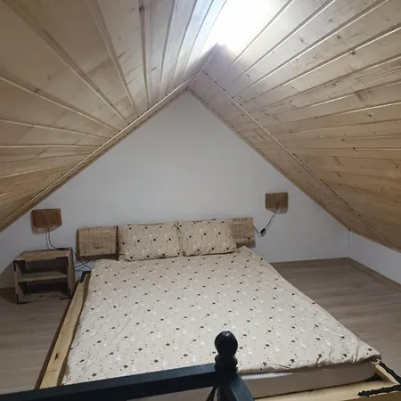Andela 5 *